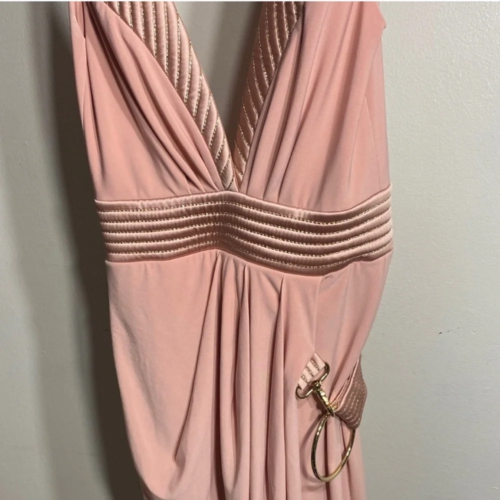 NWT Zhivago Waldorf Dress in Dawn - Picture 3 of 7
